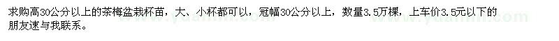 求購茶梅杯苗