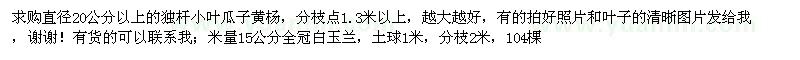 求購20公分以上獨桿小葉瓜子黃楊、15公分全冠白玉蘭