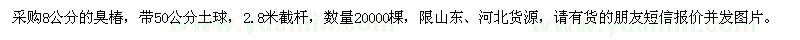 求購8公分臭椿