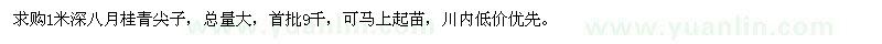 求購1米深八月桂青尖子