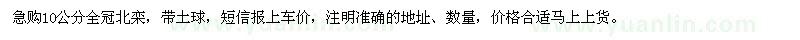 求購10公分全冠北欒