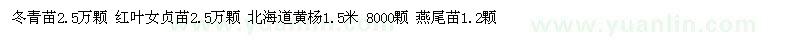 求購冬青苗、紅葉女貞苗、北海道黃楊