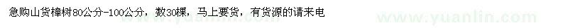 求購80公分-100公分山貨樟樹(shù)