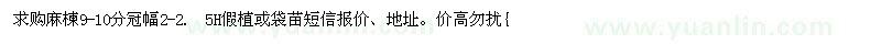 求購9-10公分麻楝