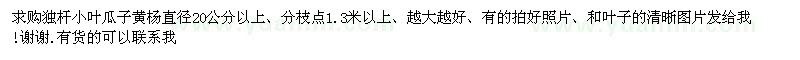 求購直徑20公分以上獨桿小葉瓜子黃楊