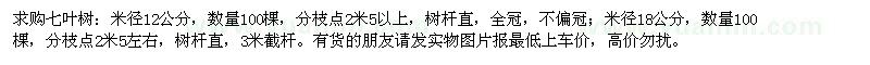 求購七葉樹 