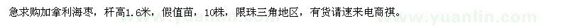 求購桿高1.6米加拿利海棗
