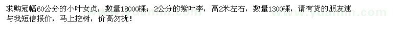 求購冠幅60公分小葉女貞、2公分紫葉李