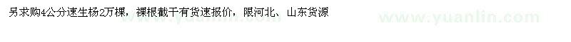 求購4公分速生楊