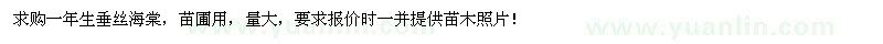 求購一年生垂絲海棠