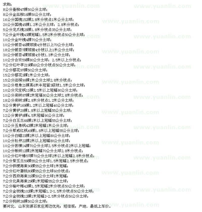 求購垂柳、國槐、龍爪槐、法桐等