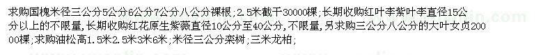 求購國(guó)槐、紅葉李、紫葉李等
