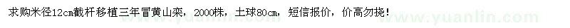 求購米徑12公分欒樹(shù)