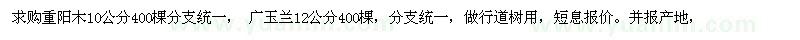 求購10公分重陽木、12公分廣玉蘭