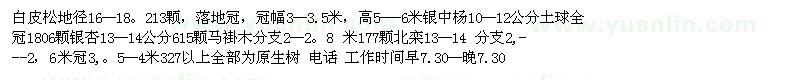 求購白皮松、馬褂木、銀杏