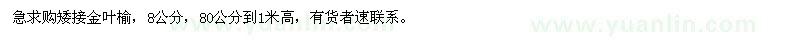 求購矮接金葉榆