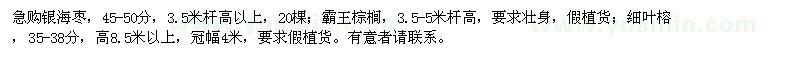 求購銀海棗、霸王棕櫚、細葉榕