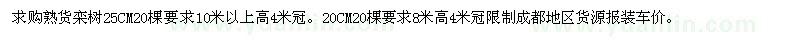求購20、25公分欒樹(shù)