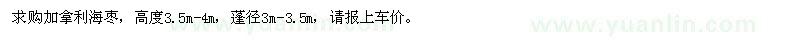 求購高度3.5-4米加拿利海棗
