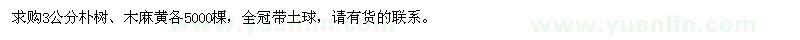 求購3公分樸樹、木麻黃