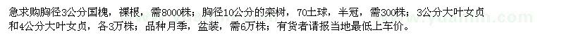 求購國槐、欒樹、大葉女貞