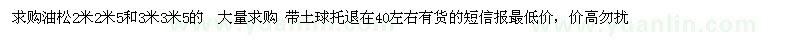 求購2-3.5米油松
