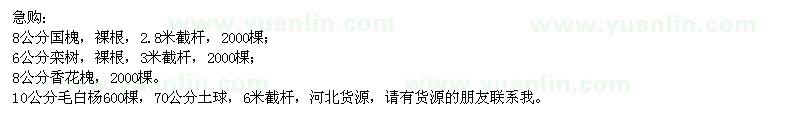 求購國槐、欒樹、香花槐、毛白楊