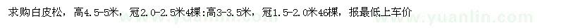 求購高4.5-5米、3-3.5米白皮松