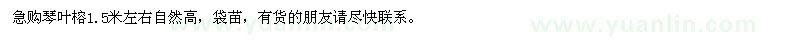 求購1.5米左右自然高琴葉榕