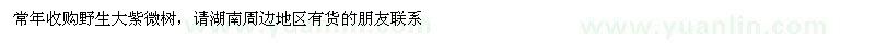 求購大紫微樹(shù)