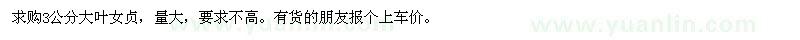 求購3公分大葉女貞