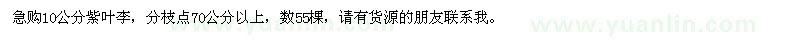 求購10公分紫葉李