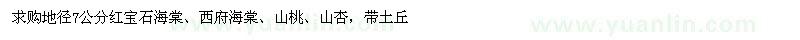 求購(gòu)紅寶石海棠、西府海棠、山桃