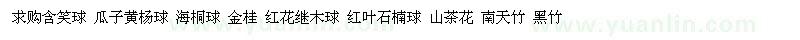 求購含笑球、瓜子黃楊球、海桐球