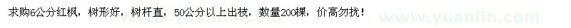 求購6公分紅楓