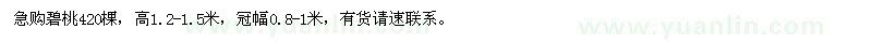 求購高1.2-1.5米碧桃