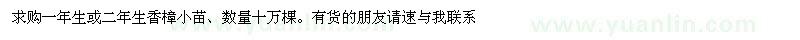 求購(gòu)一年生、二年生香樟小苗