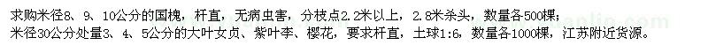 求購國槐、大葉女貞、紫葉李、櫻花