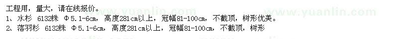 求購(gòu)水杉、池杉