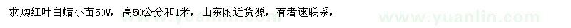 求購高50公分、1米紅葉白蠟小苗