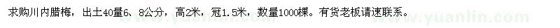 求購6、8公分臘梅