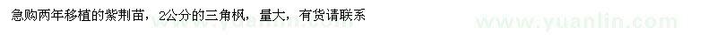 求購紫荊苗、三角楓