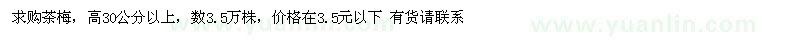 求購高30公分以上茶梅