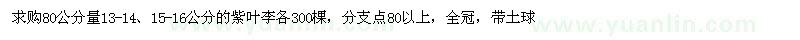 求購80公分量13-14、15-16公分紫葉李