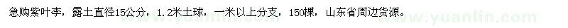 求購直徑15公分紫葉李