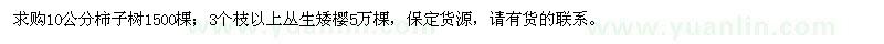 求購柿子樹、叢生矮櫻