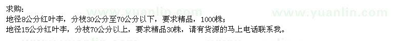 求購地徑8、15公分紅葉李