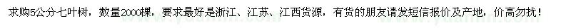 求購5公分七葉樹