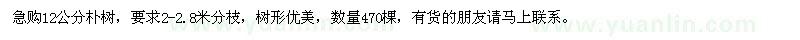 求購12公分樸樹