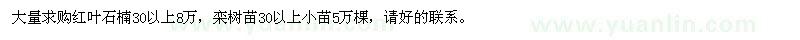 求購紅葉石楠、欒樹苗